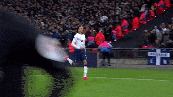 spurs official GIF by Tottenham Hotspur