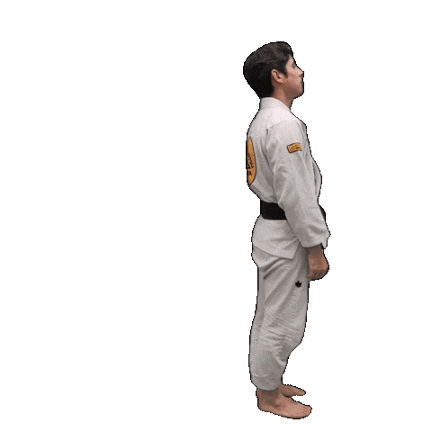 Bjj Jiujitsu Sticker by ghbrownsville