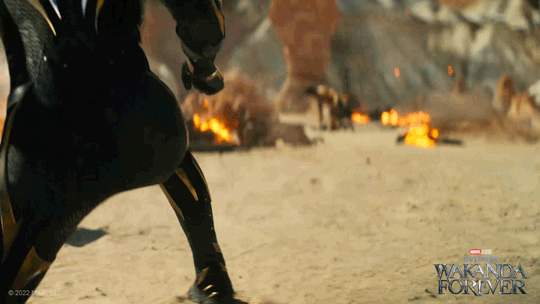 Black Panther Wakanda Forever GIF by Marvel Studios - Find & Share on GIPHY