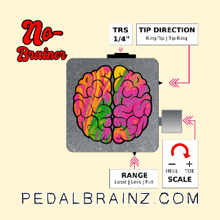 Pedalbrainz GIF