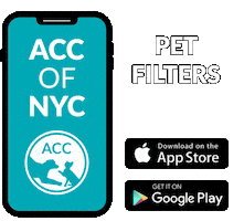 App Adopt Sticker by nycacc
