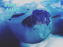 200.gif?cid=fc005b08ed0459c7683ad0974da382bec36f71cae4f51bce&rid=200.gif&ct=g