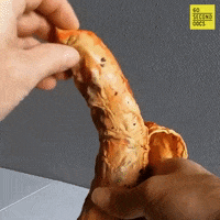 Hot Dog Art GIF by 60 Second Docs