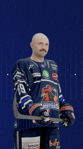 GIF by Iserlohn Roosters