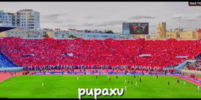 Morocco It Movie GIF