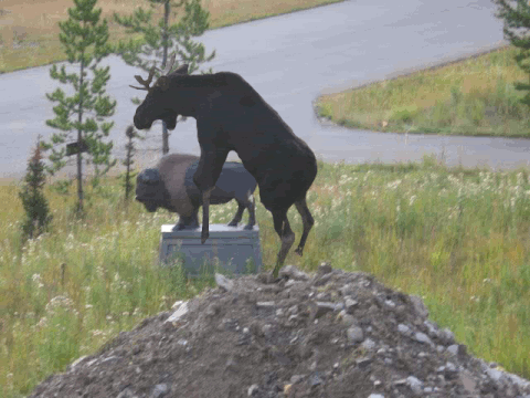 [Image: giphy.gif]