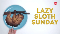 Lazy Sloth Sunday