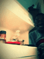 burrito im hungry GIF