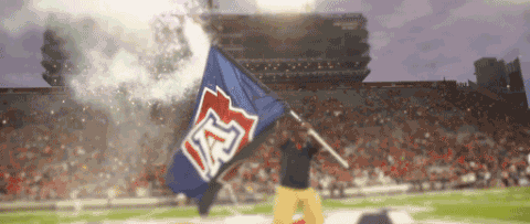 arizona