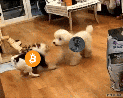 Pump It Crypto GIF by Web3 Newswire