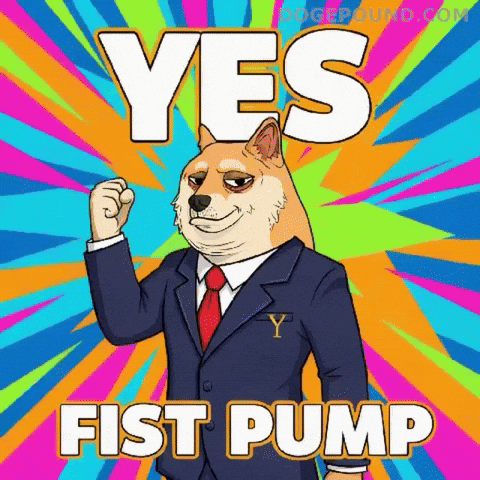 Shiba Inu Yes GIF by Doge Pound