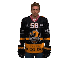 Hockey Switzerland Sticker by HC Ajoie