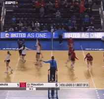 Sport Volleyball GIF by TIY PRODUCTS