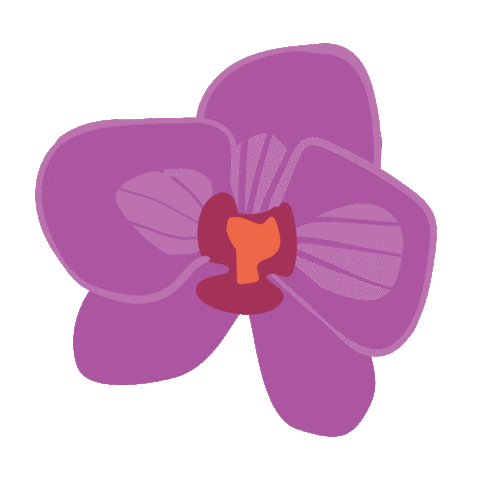 Exitonetaproom Sticker