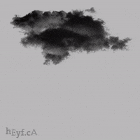 Cats And Dogs Rain GIF by HeyF