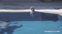 scared swimming pool GIF