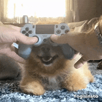 playing video game gifs