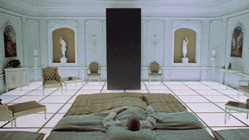 phe kubrick GIF