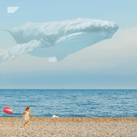 Worldstorytellingday GIF by SAP