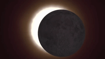 Eclipse GIF by NASA