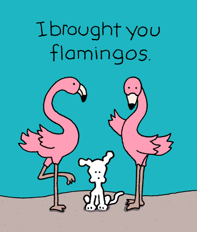 Dogs Flamingos GIF by Chippy the Dog