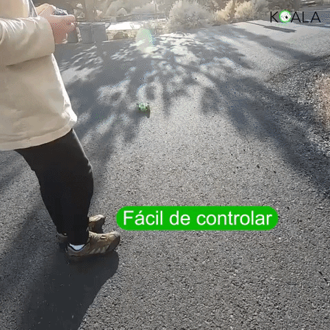 Animated GIF