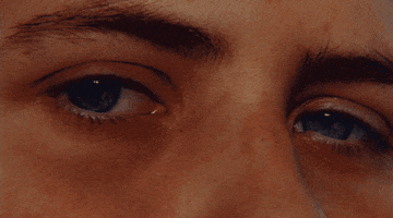 200.gif?cid=fc005b08965b7d52f6cdd5c77e2c168e2b1eb5c515376b3f&rid=200.gif&ct=g