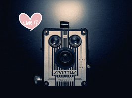 You Can Love GIF by FranchiseONE.de