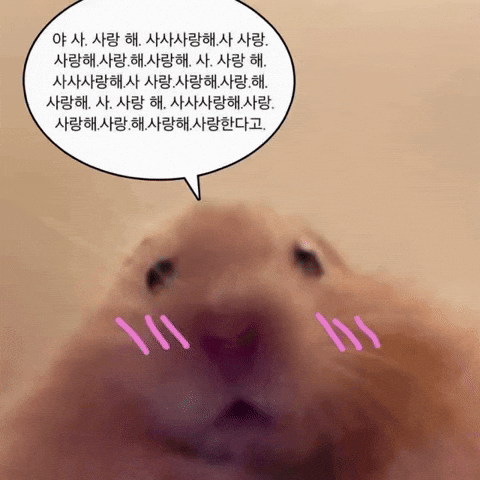 쩡애 GIF