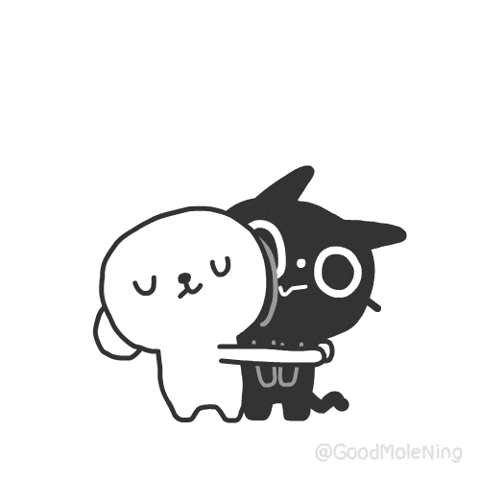 Cat Love GIF