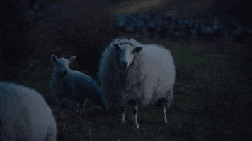 Scary Movie Cow GIF