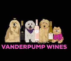 VanderpumpWines puffy vanderpump vanderpump wines dogs and wine GIF