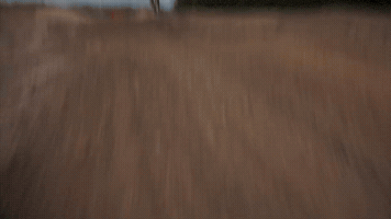 Cboys Cleetus Mcfarland GIF