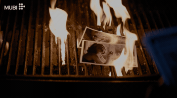 Andrey Zvyagintsev Film GIF by MUBI