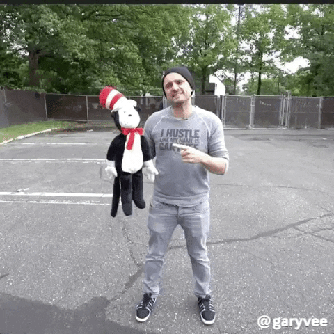 explain cat in the hat GIF by GaryVee