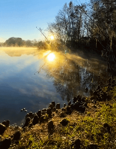 Loop Lake GIF by University of Florida