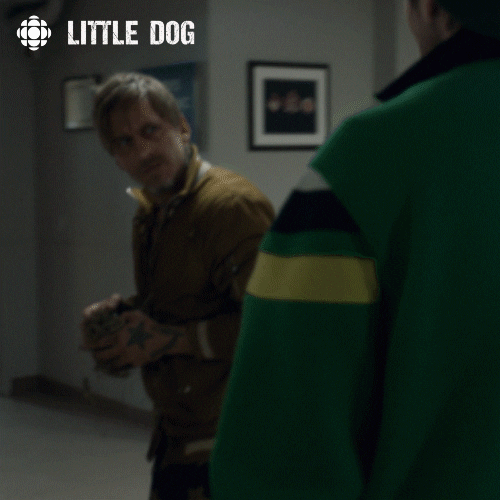 little dog what GIF by CBC