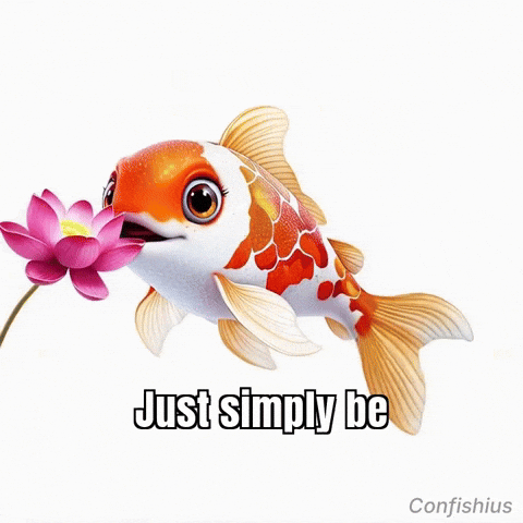 Peace Relax GIF by TheConfishius