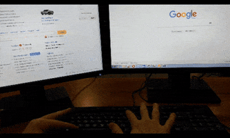 olegigalkin eyes attention rest reset GIF