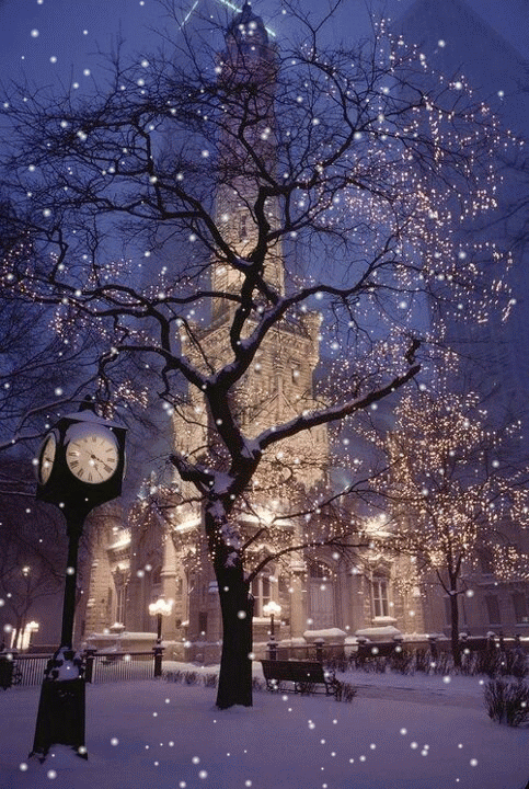 Image%20result%20for%20beautiful%20winter%20out%20door%20light
