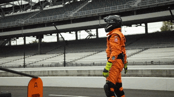 Indy Car Racing GIF by Arrow McLaren IndyCar Team
