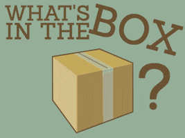 kyle se7en whats in the box GIF