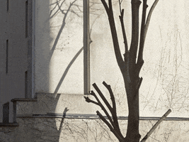 Art GIF