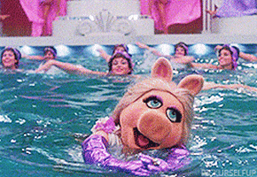 Miss Piggy GIFs - Find & Share on GIPHY