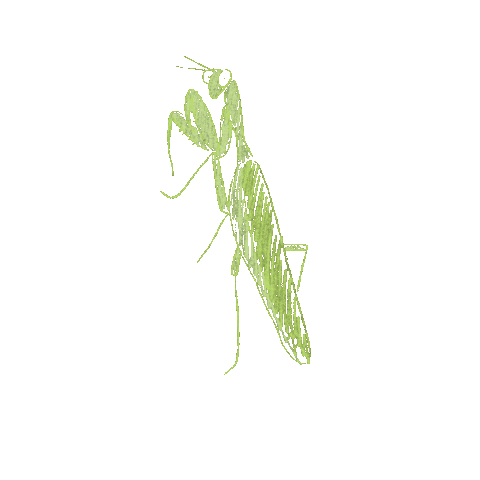 Bugs Insects Sticker