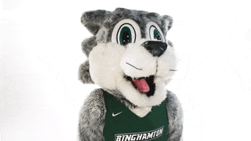 Suny Binghamton GIF by Binghamton University