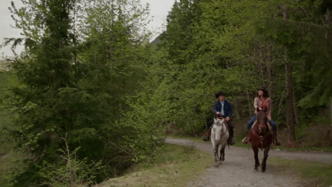 giphy.gif?cid=ecf05e47fccd942bd34d1343bbd554e99774a9627c5ce2b4&rid=giphy.gif