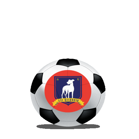 Football Sticker