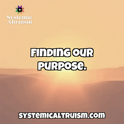 Sun Finding GIF by SystemicAltruism