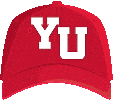 York University Sticker